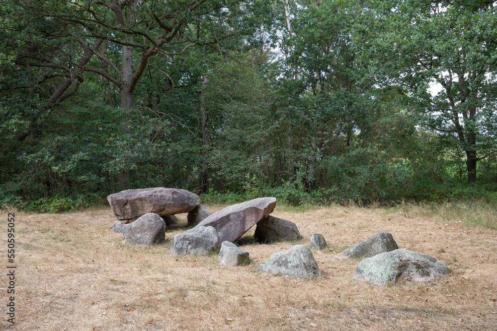 Naklejka premium Hunebed D35 or Dolmen D35, Valtherbos municipality of Emmen in the Dutch province of Drenthe is a Neolithic Tomb and protected historical monument in an natural environment