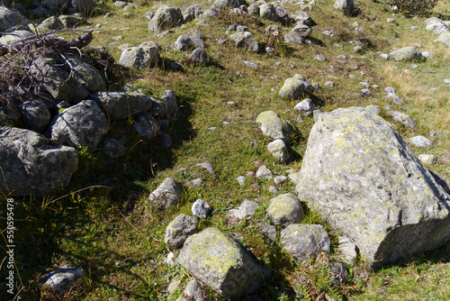 Close-up of rocks covered with lichen at hiking trail at Swiss mountain pass Susten on a sunny summer morning. Photo taken July 13th, 2022, Susten Pass, Switzerland.