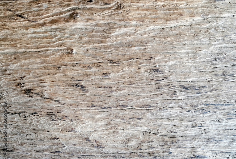 Naklejka premium Wood texture background. Grunge wood