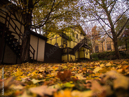 quaint old fashioned cottage homes during autumn with leaves on the ground
