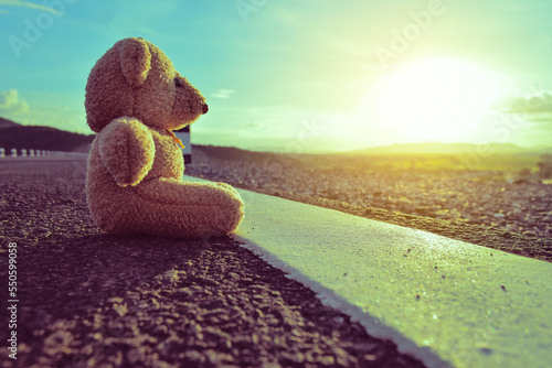 Teddy bear alone.Sunset background.