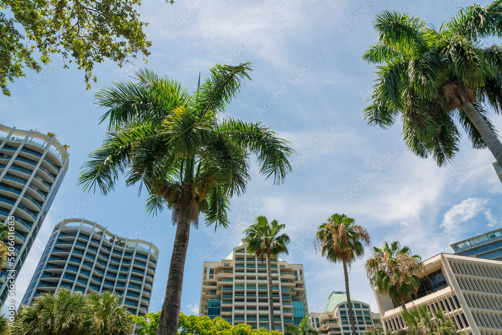 Views of palm trees at the front of modern multi-storey modern residential buildings at Miami, Florida