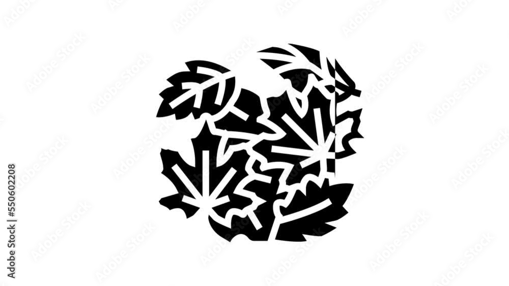 foliage autumn line icon animation foliage autumn line icon animation