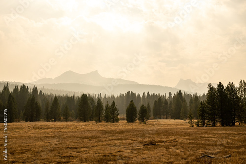 Thick Forest Fire Smoke Hangs Over Tuolumne Meadows