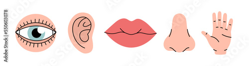 Set of five human senses. Vision, smell, hearing, touch, taste icons. Human sensory organs. Vector illustration. Eye, nose, ear, hand, mouth icon set
