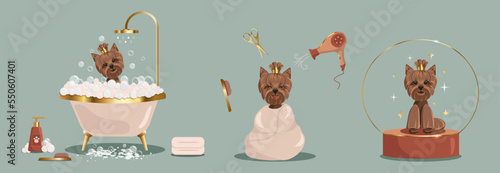 Flat vector banner pet grooming concept equipment elements in boho style. Cute dog character, takes a bubble bath and grooming tools for wool care. Dog washing service the grooming salon.