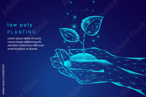 Abstract hand giving small plants in the soil, low poly pattern, blue geometric background design, connection structure, wireframe pattern.