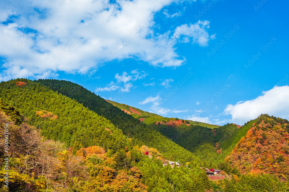 Autumn in lake Okutama, Japan