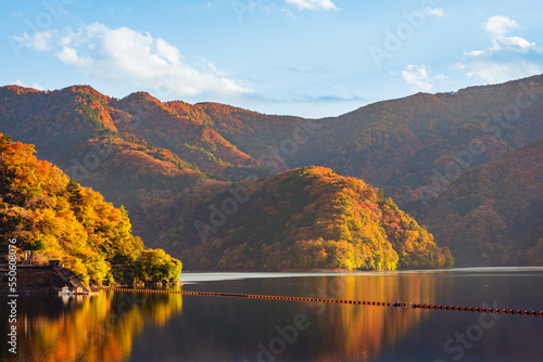 Fototapeta Naklejka Na Ścianę i Meble -  Autumn in lake Okutama, Japan