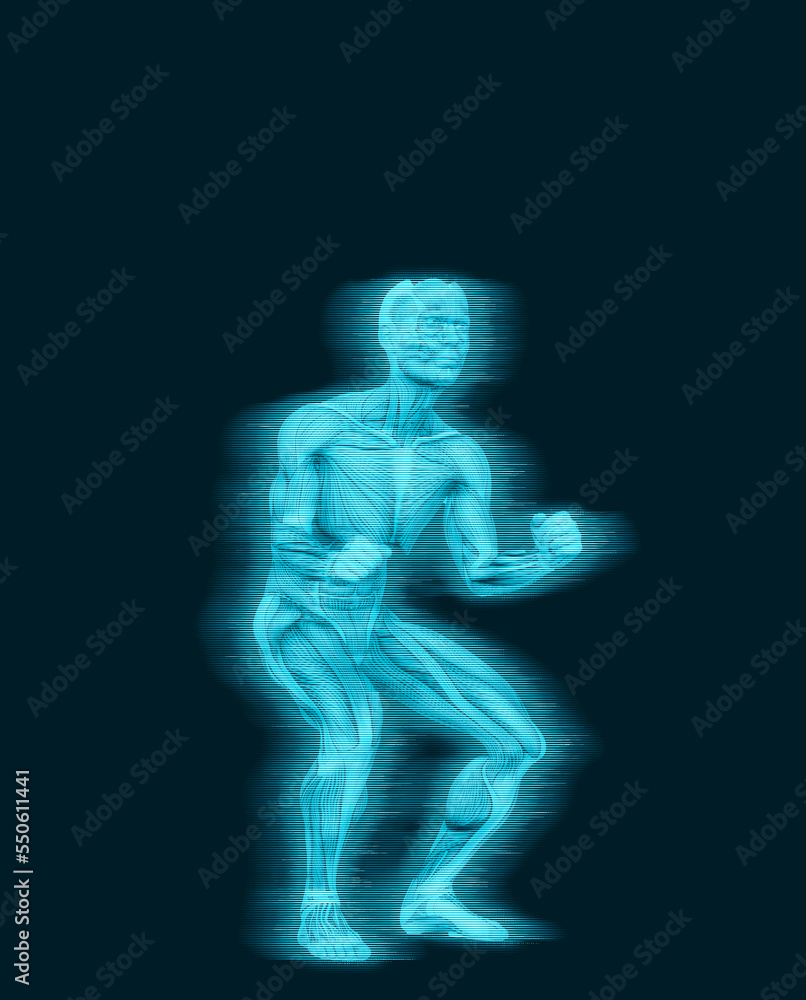 average man muscle maps is doing a parkour pose number four average man muscle maps is doing a parkour pose number four