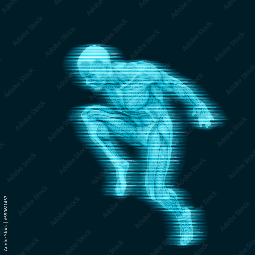 average man muscle maps is doing a parkour pose number fourteen average man muscle maps is doing a parkour pose number fourteen