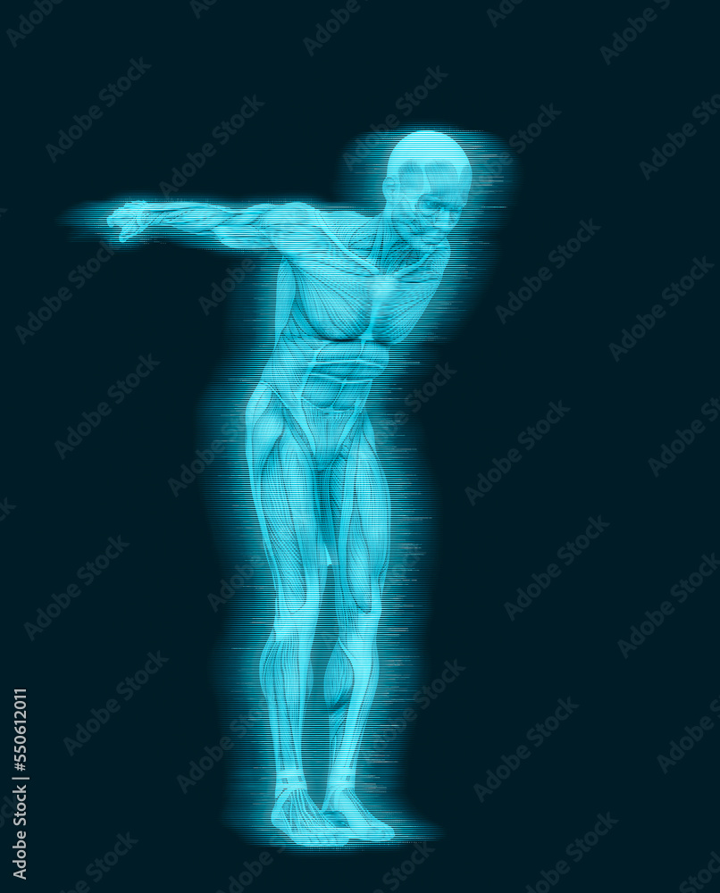 average man muscle maps is doing a parkour pose number two average man muscle maps is doing a parkour pose number two