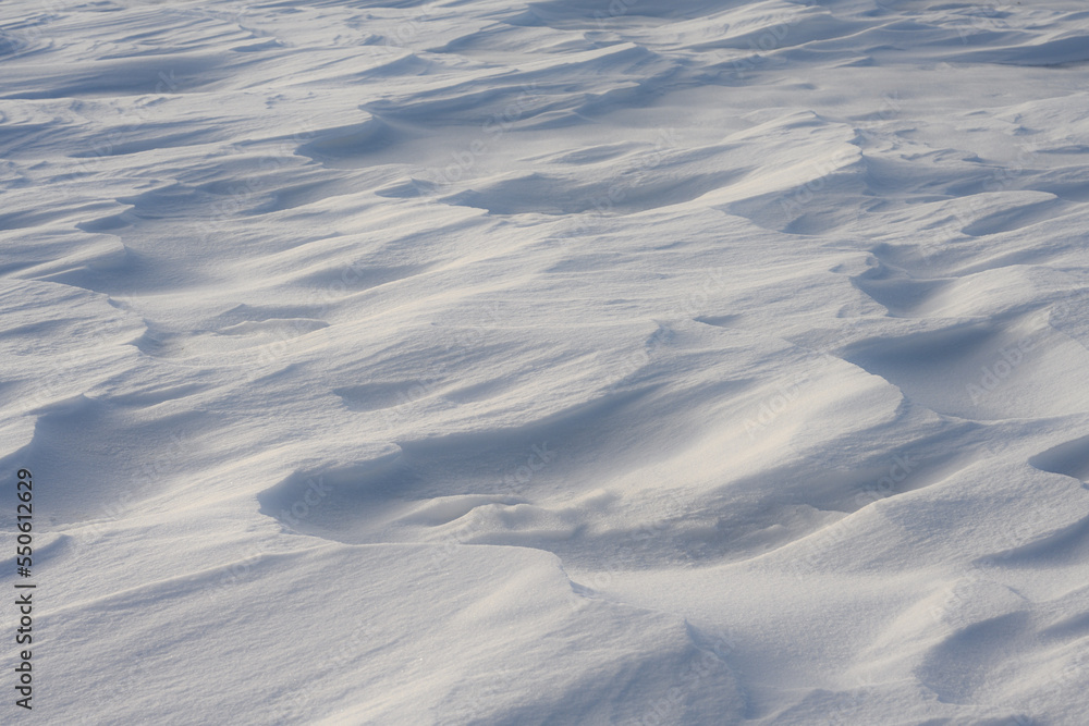 Interesting snowdrift patterns with blue cast shadows caused by a late day sun.
Interesting snowdrift patterns with blue cast shadows caused by a late day sun.