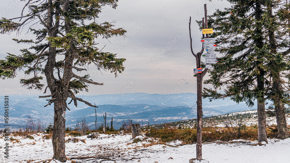 Góry zimą, Beskid Śląski w Polsce widok z Baraniej Góry