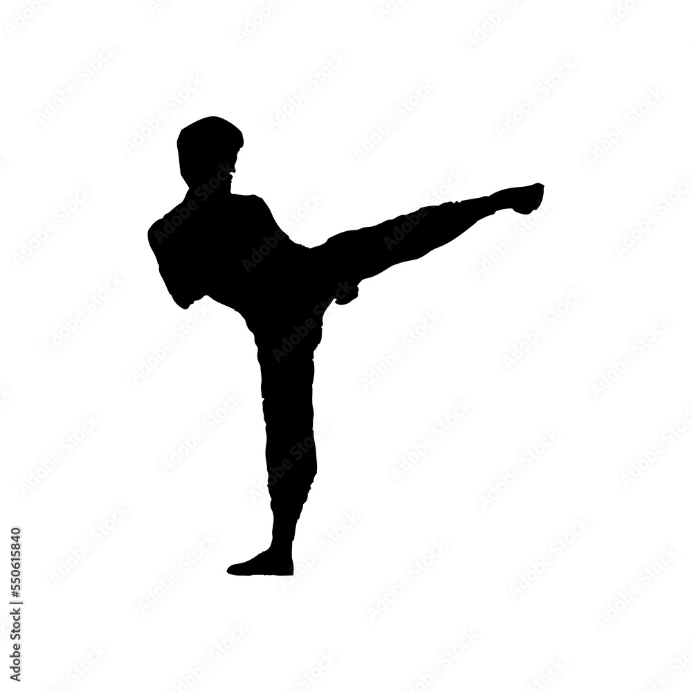 Karate player icon. Simple style karate lessons course poster background symbol. Karate brand logo design element. Karate player t-shirt printing. Vector for sticker.
