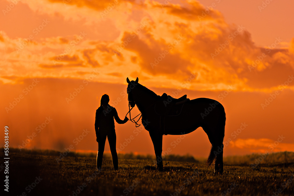 Silhouette of a woman with horse at the orange sunset