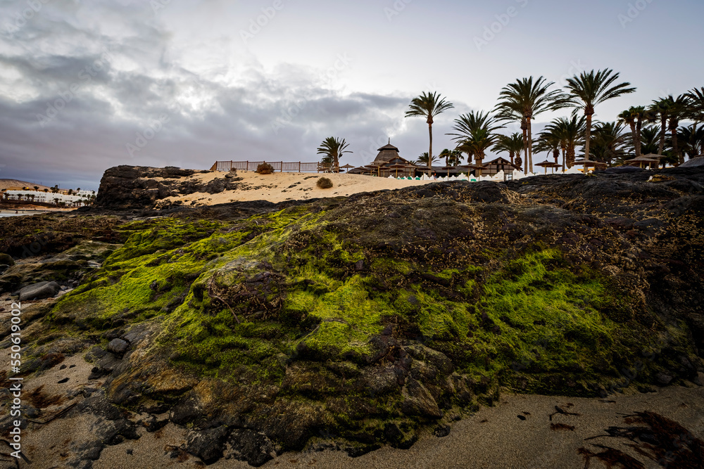 Obraz premium Sunset on the coast of fuerteventura 