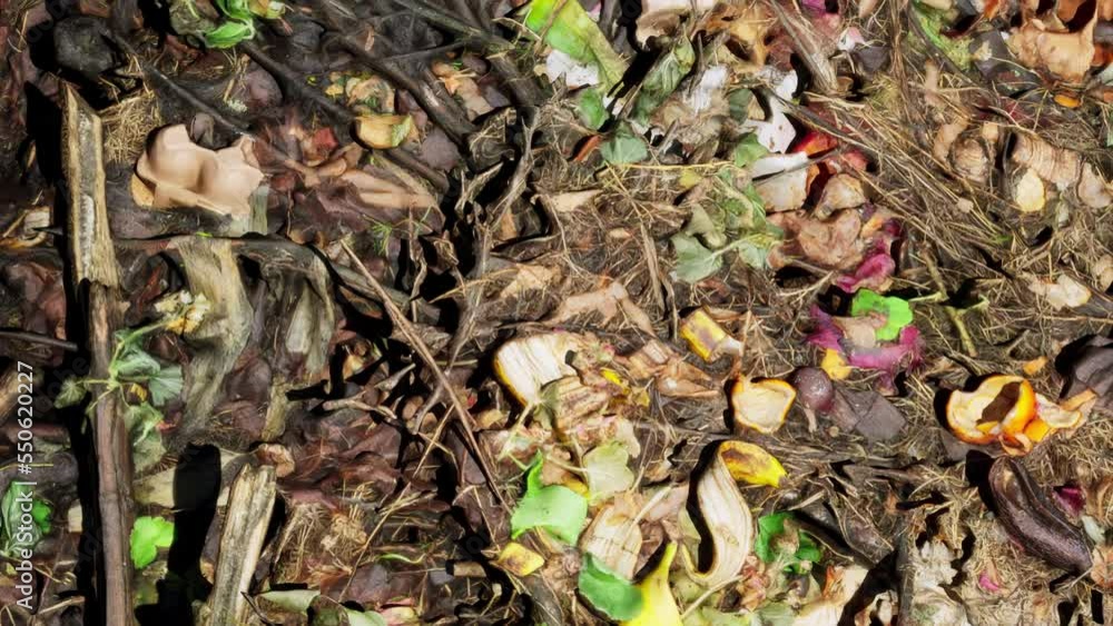 An aerial view over a compost heap made from rotting vegetables, fruit