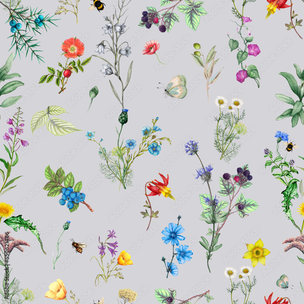 Obraz premium Botanical floral pattern of watercolor wildflowers and forest plants