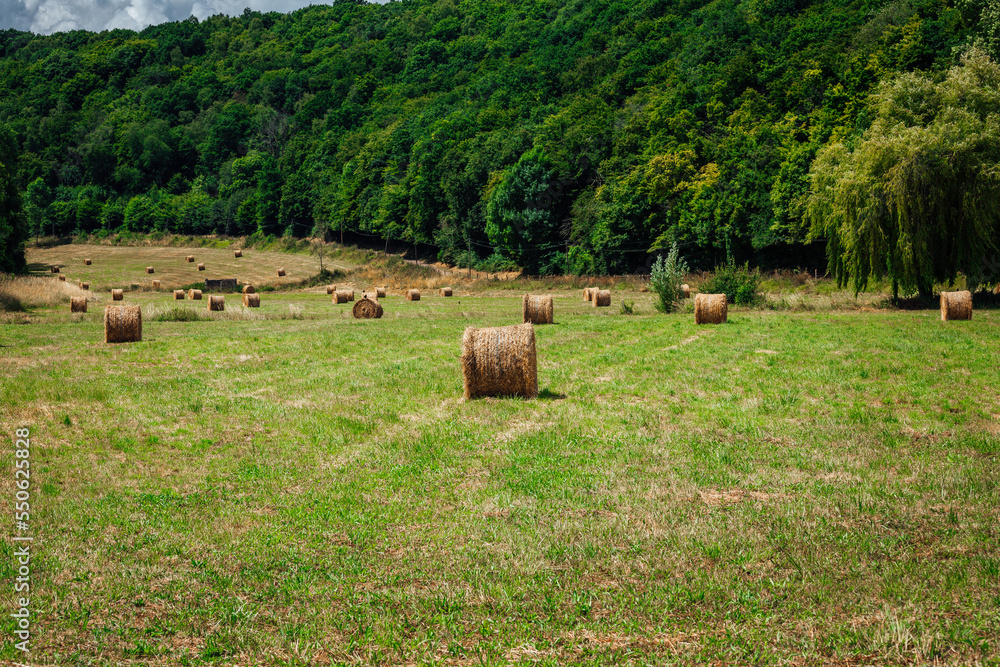 Belles meules ou meulons de foins - Beautifull Haystacks Belles meules ou meulons de foins - Beautifull Haystacks