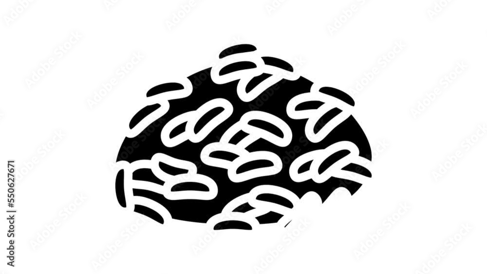 jasmine rice line icon animation jasmine rice line icon animation