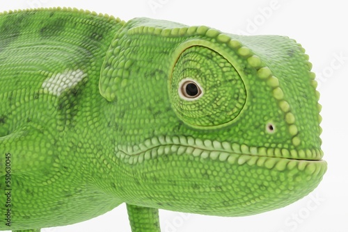 Realistic 3D Render of Flap Necked Chameleon