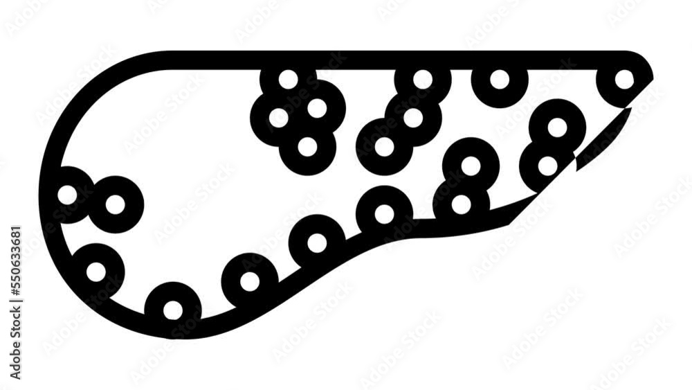 pancreas human line icon animation pancreas human line icon animation