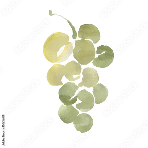 Grapes vector sketch icon isolated on background. Hand drawn watercolor brush illustration. Icon for infographic, website or app
