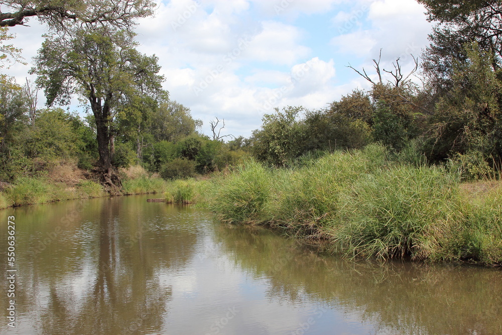 Krüger Park - Afrikanischer Busch - Fluss / Kruger Park - African bush - River / Krüger Park - Afrikanischer Busch - Fluss / Kruger Park - African bush - River /