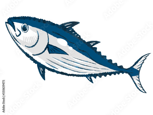 bonito, katsuo, skipjack tuna isolated on white background photo