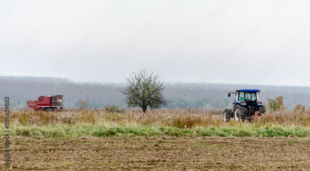 Fototapeta premium Fields before winter plowing with the remains of cut corn.
