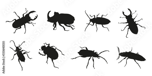 various beetle silhouettes volume 1 © jan stopka