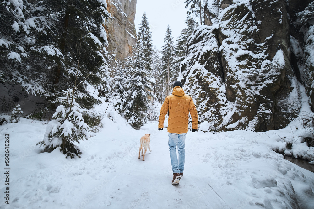 Man with dog during winter day. Pet owner walking on snowy footway with his labrador retriever. .