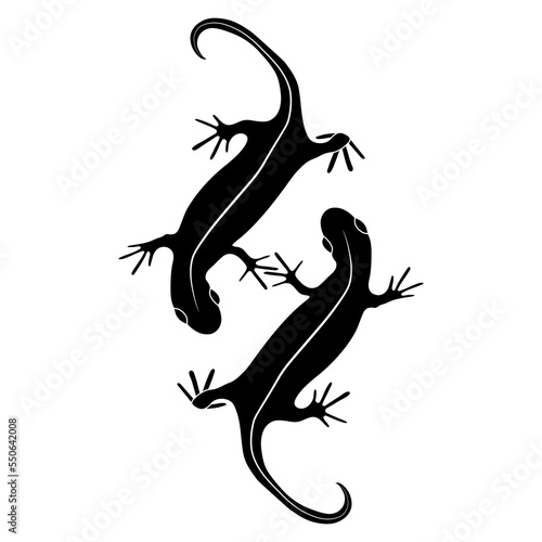 Set of lizards reptile gecko black silhouette vector illustration. Simple black silhouette illustration isolated on white background. Template for books, stickers, posters, cards, clothes.