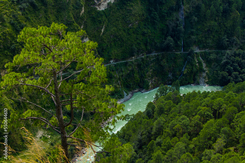Beautiful Green Forest and River of HImalayas Nepal during Monsoon 