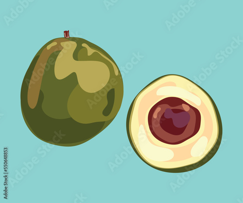 nabal avocado from peru vector illustration