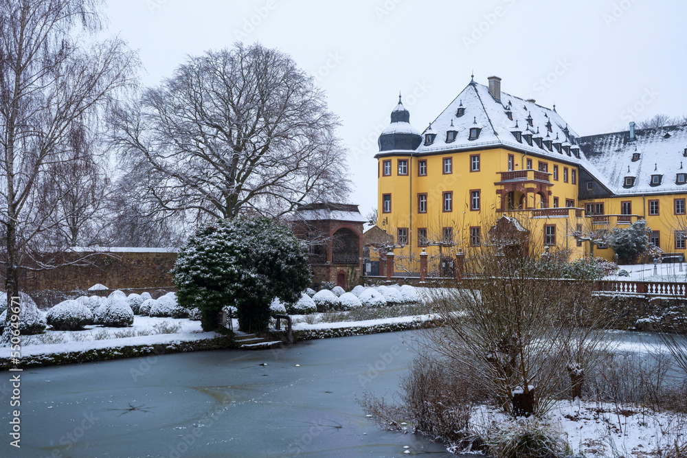 View of the castle of Vollrads/Germany in winter with a frozen pond in the foreground