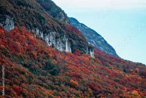 couleurs de l'automne sur le mont Vuache