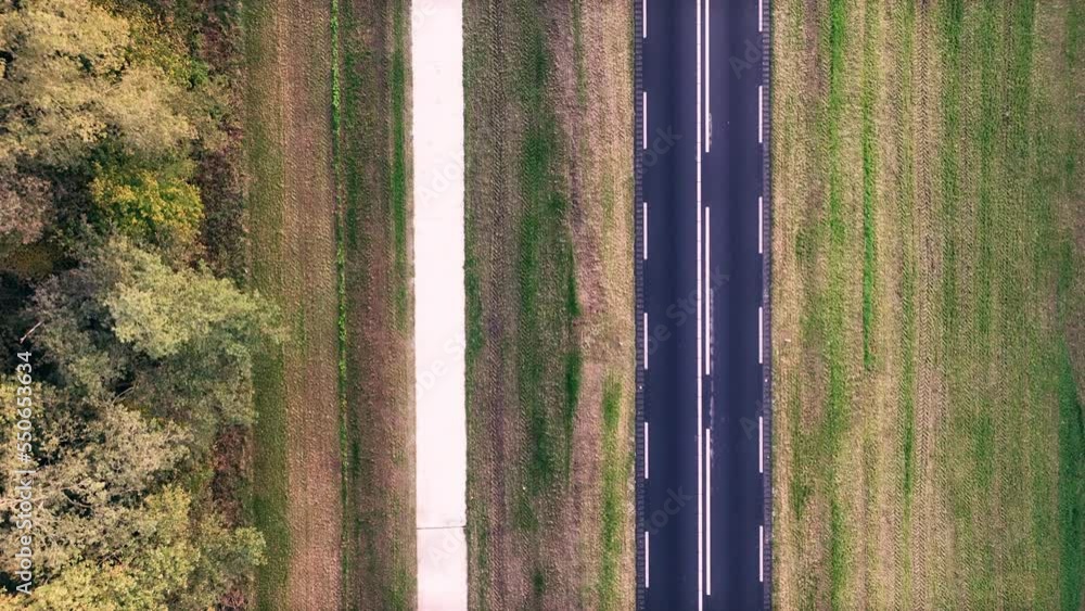 Road and bicycle path over a levee with green grass seen from above next to a forest in Flevoland, Netherlands.
