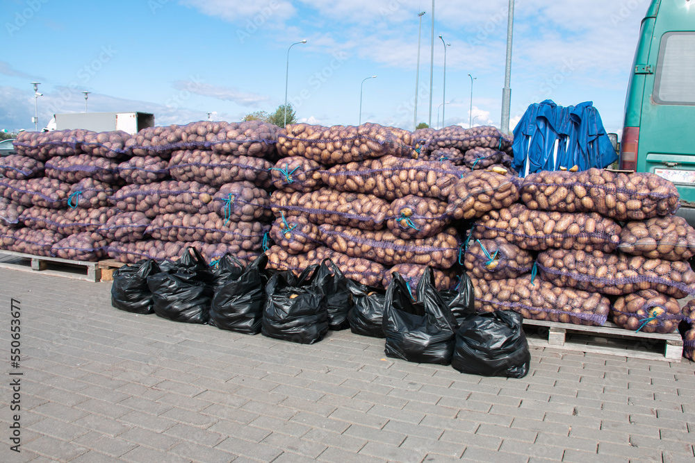 Lots of potatoes in mesh bags on pallets for sale at a farmer's market. Wholesale of potatoes.