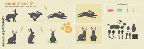 Cute black rabbit, bunny eating with accessories ready for animation vector, collection of multiple poses and positions. Bunny eating carrots, ready to rig
