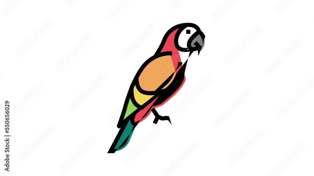 parrot tropical bird color icon animation parrot tropical bird color icon animation