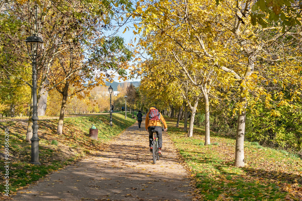Man rides a bike through the park