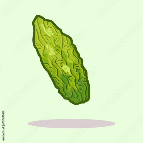 Fresh bitter gourd hand drawn cartoon illustration