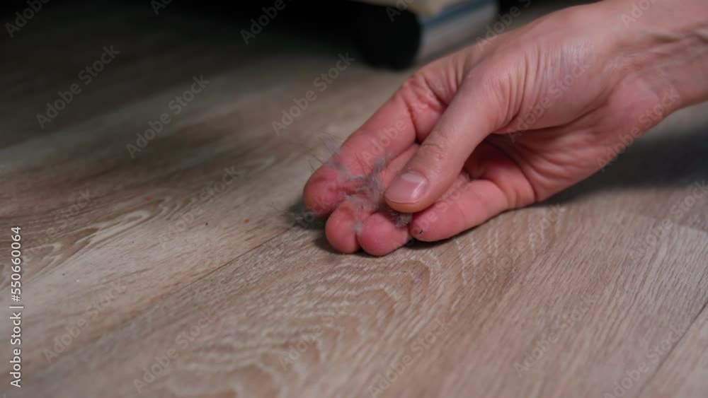 Close up, Dirty alopecia hair and dust on floor. Selective focus Close up, Dirty alopecia hair and dust on floor. Selective focus