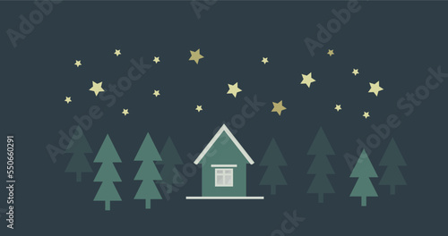 Night landscape with house and forest background. Clear dark sky and bright golden stars. Vector illustration. Design elements for poster  book cover  brochure  magazine  flyer  booklet. 