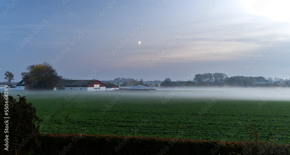 Rural scenic landscape in Denmark: farm barn, green manure fields covered with fog, moon rising in the evening sky