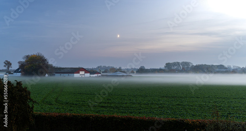 Obraz na płótnie Rural scenic landscape in Denmark: farm barn, green manure fields covered with fog, moon rising in the evening sky w salonie