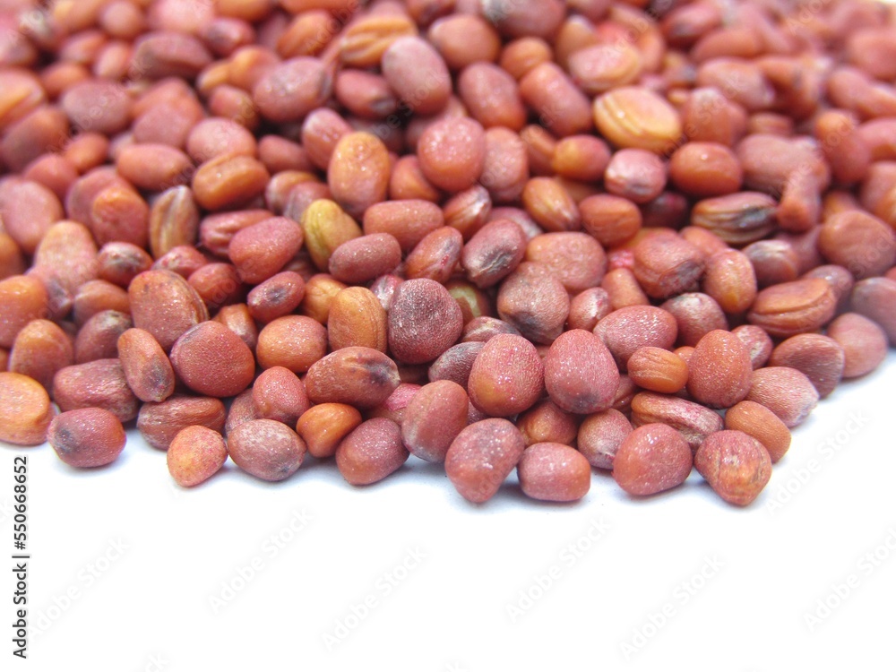 White radish seeds on white background White radish seeds on white background