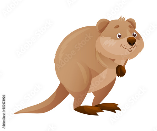 Funny Quokka as Short-tailed Scrub Wallaby with Rounded Ears Standing on Hind Legs and Smiling Vector Illustration